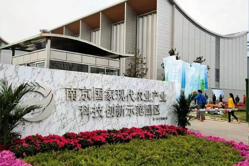 南京農(nóng)創(chuàng)園零星工程審計